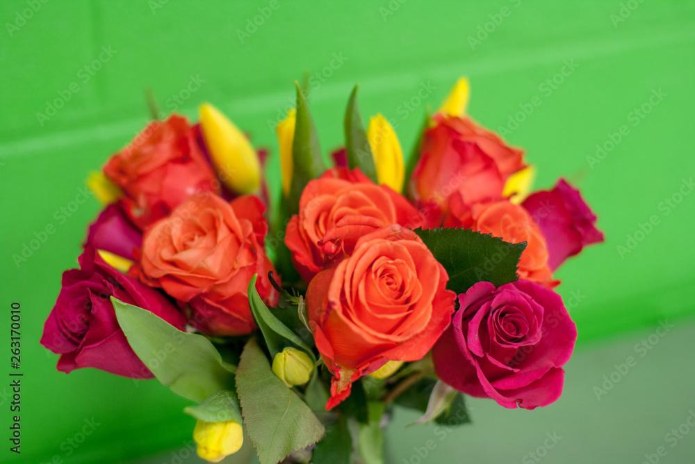 Pop of Rose Color Pop of Rose Color