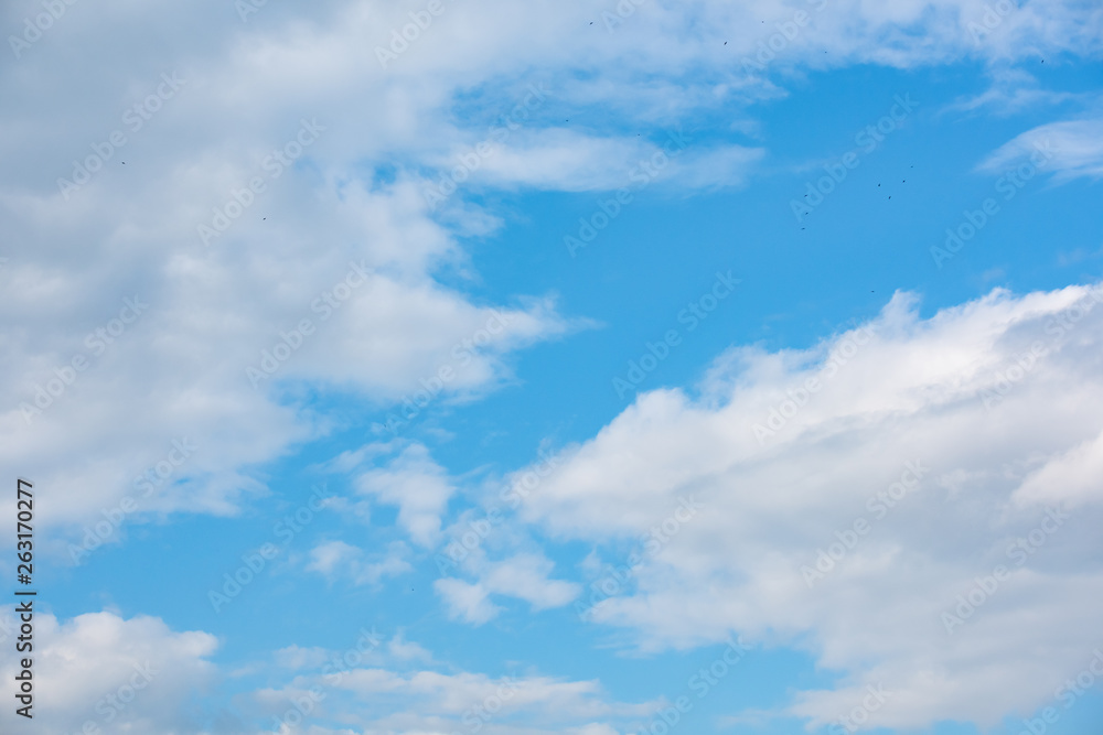 Fototapeta premium Blue sky with soft cloud background