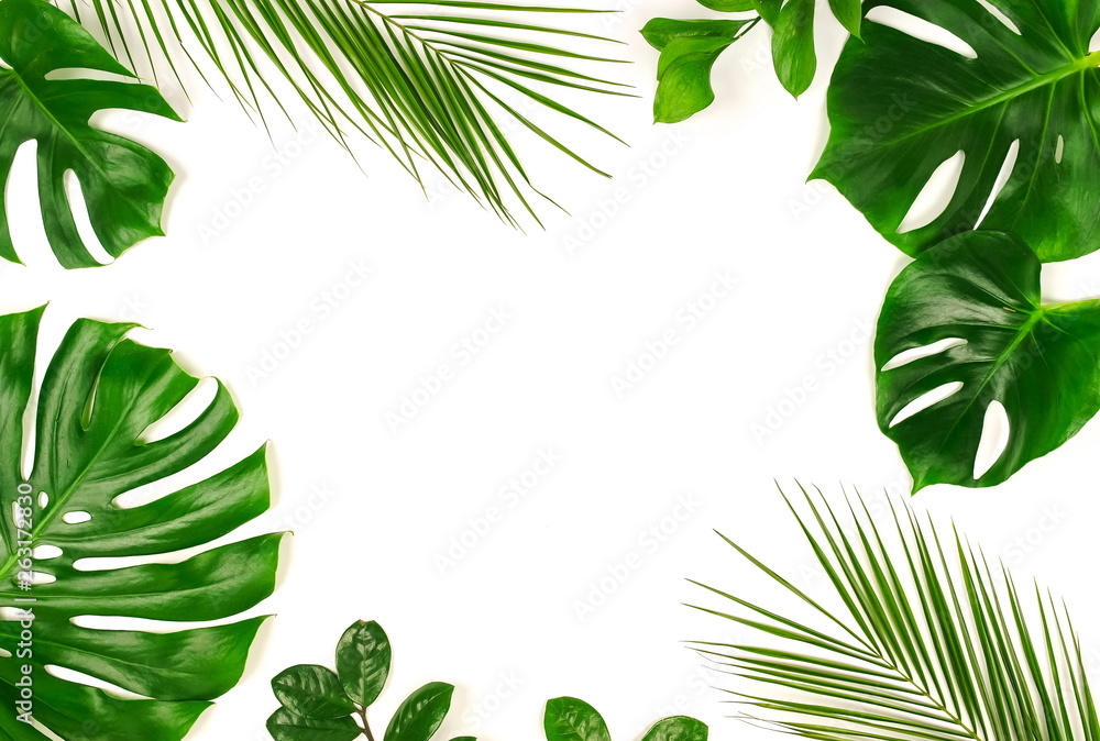tropical green palm, monstera leaves, branches pattern frame on a white background. top view.copy space.abstract. tropical green palm, monstera leaves, branches pattern frame on a white background. top view.copy space.abstract.