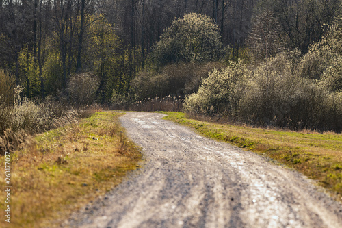 Rural road in spring.