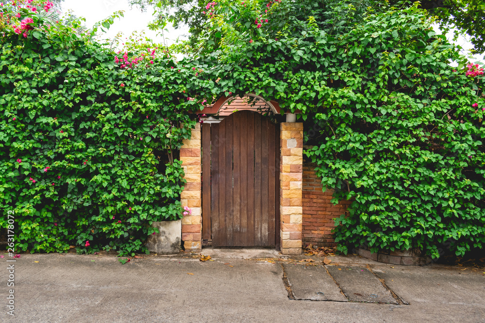 Wooden and stone door with messy green leaf. Wooden and stone door with messy green leaf.