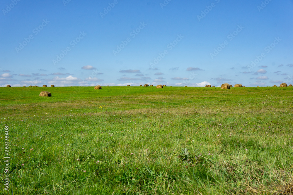 Hay field with large round bales. Environmentally friendly production.