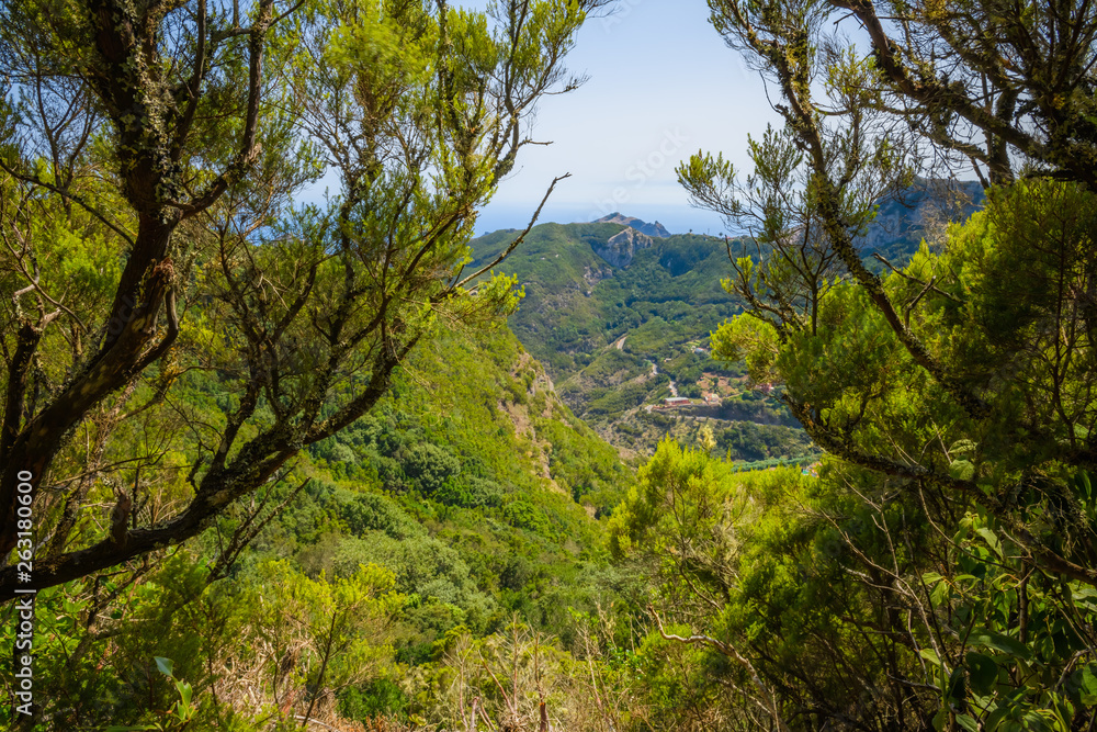 Fantastic view of the coast in the Anaga peninsula. Tenerife. Canary Islands. Spain