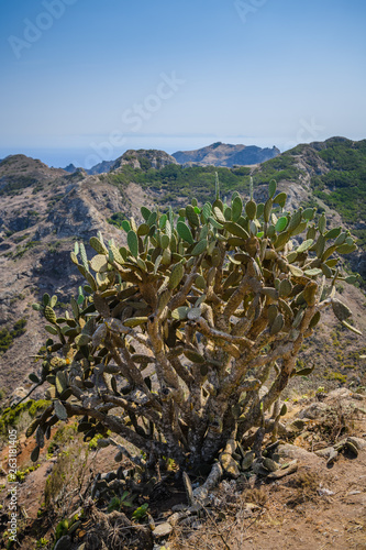 Fantastic view of the coast in the Anaga peninsula. Tenerife. Canary Islands. Spain