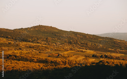 Sunset on hills ladnscape, forest, farm, summer travel