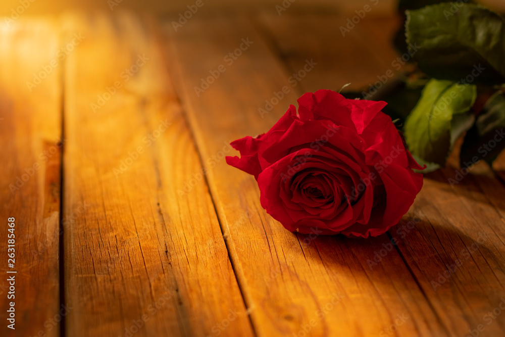 Red rose on wooden background.