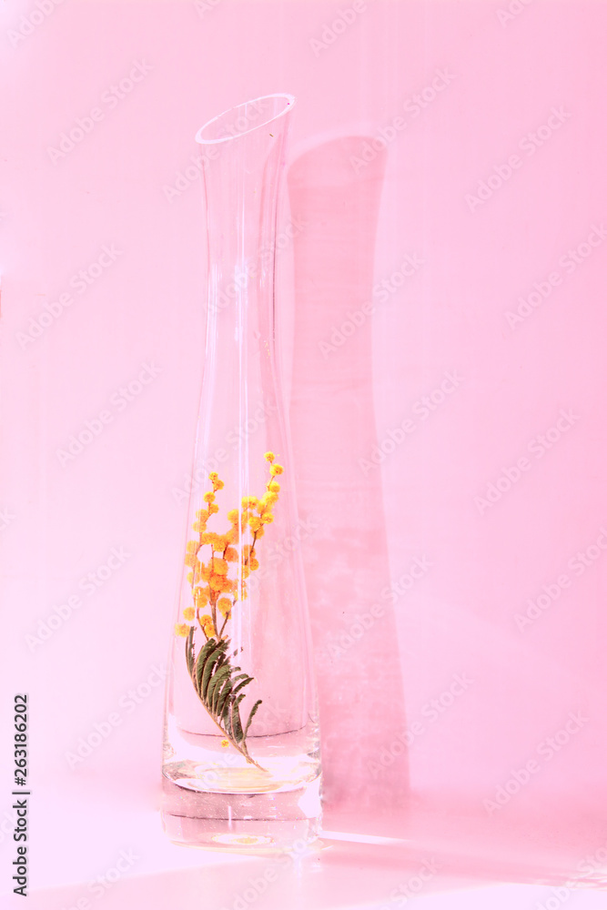 Inside the elongated glass vase there is a sprig of mimosa with yellow flowers. Concept - spring mood
