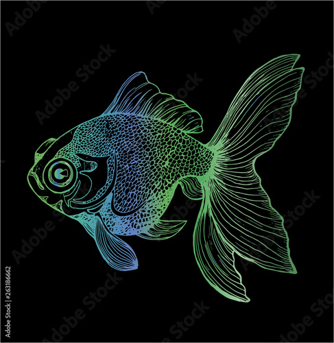 Gradient illustration of a fish. Black and white carp drawing