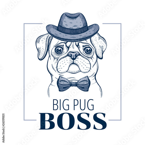 Pug boss dog. T-shirt print design. Cool animal vector in doodle hand drawn style for tee, child, male fun apparel. Puppy character poster with hipster element. Fashion illustration isolated on white