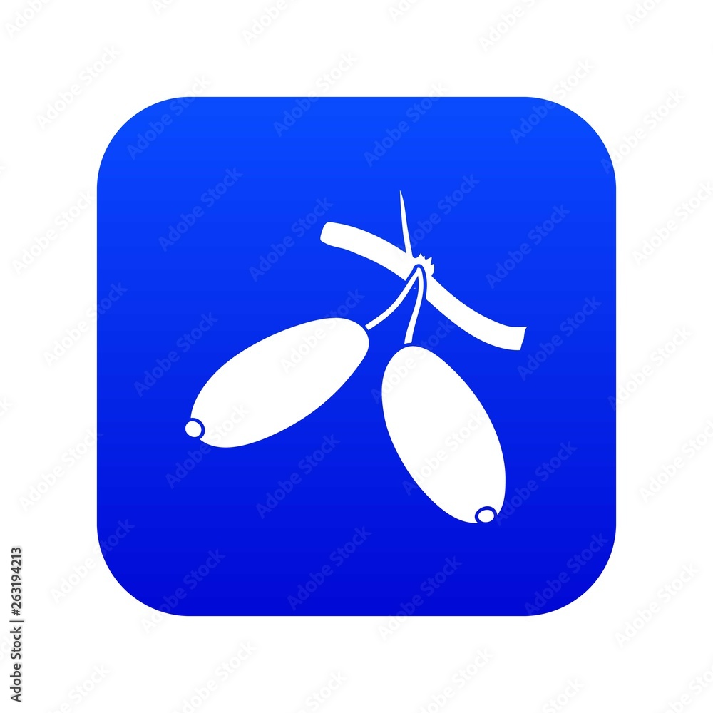 Barberry icon blue vector isolated on white background Barberry icon blue vector isolated on white background