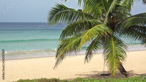 Relax swing hangs from coconut palm tree in the tropical breeze of exotic island with white sand beach and turquoise shallow clear sea water  an idyllic paradise as travel destination for holiday