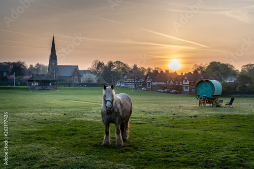 Photography Romany Caravans with horse at sunrise in rustic village