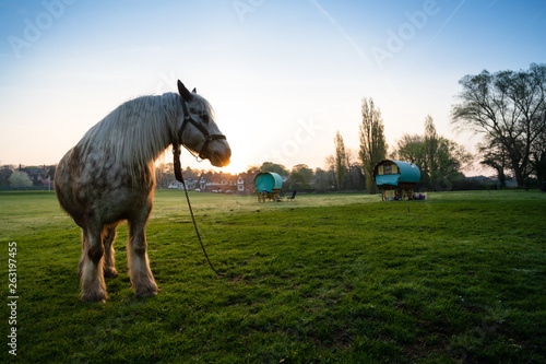 Photography Romany Caravans with horse at sunrise in rustic village