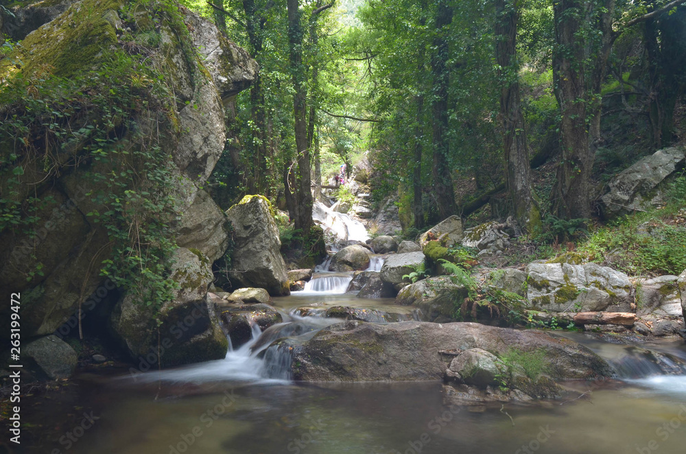 beautiful waterfalls in the national park of Aspromonte Calabria