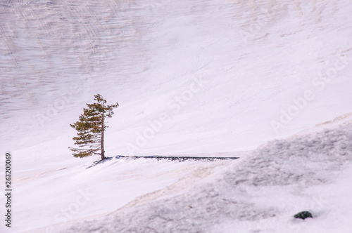 in silence in the national park in full silence