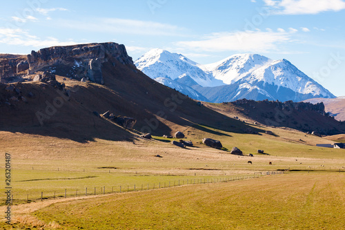 Farmland in the South Island of New Zealand with snow capped mountains on the distant horizon.