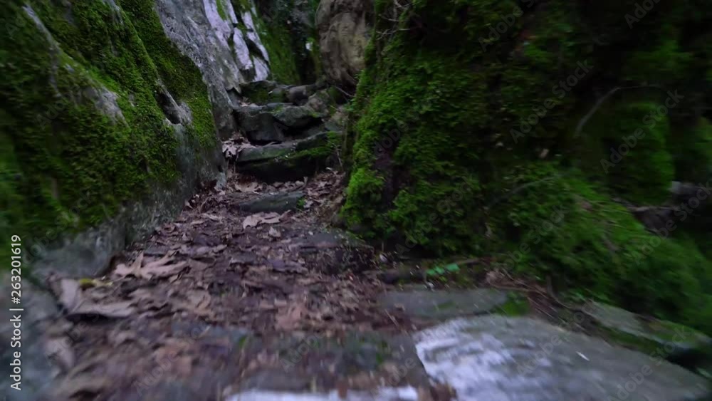 cold spring water flowing in the forest, su02 cold spring water flowing in the forest, su02