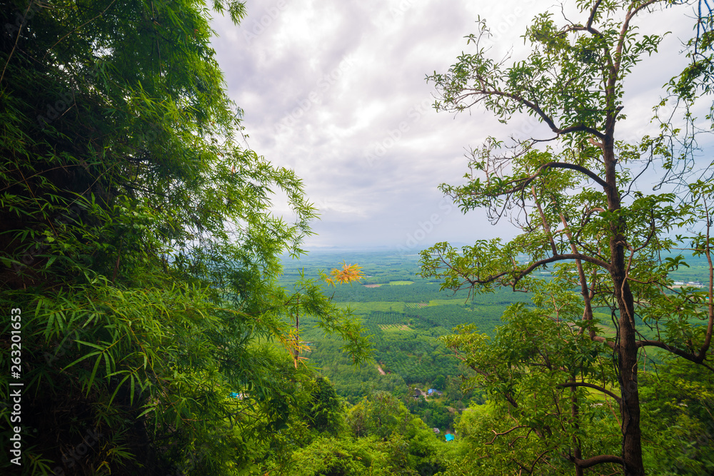 Beautiful morning sunrise in tropical rain forest Beautiful morning sunrise in tropical rain forest