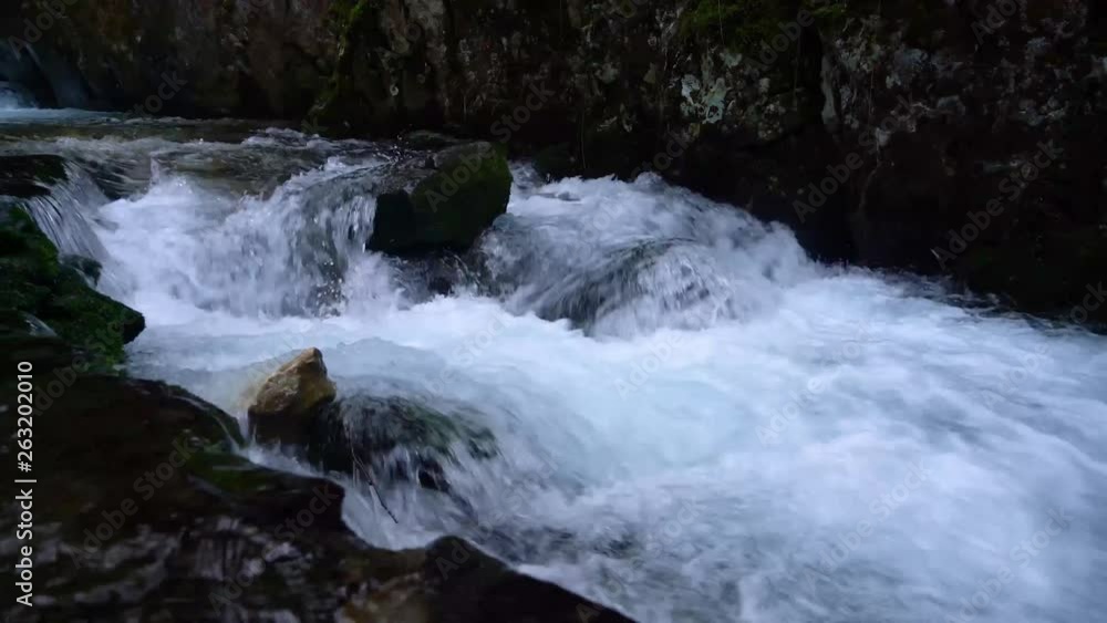cold spring water flowing in the forest, su02
