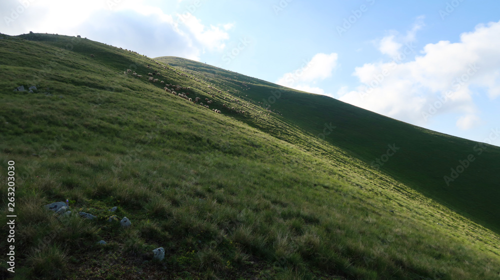 Obraz premium beautiful mountain landscape