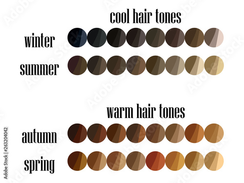 Stock vector seasonal color analysis hair colors palette for all types of female appearance