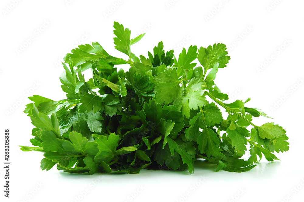 Fresh green parsley on white background Fresh green parsley on white background