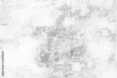 White Grunge Wall Background. © mesamong