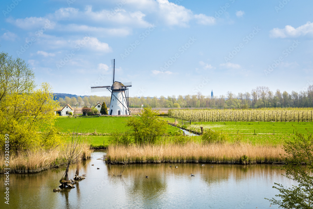 White Dutch windmill near Kesteren in Gelderland in the Netherland