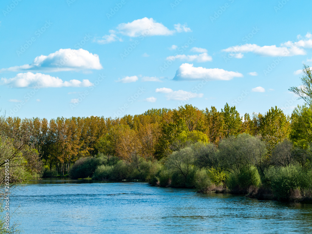 Fototapeta premium Landscape of a river with calm water in spring