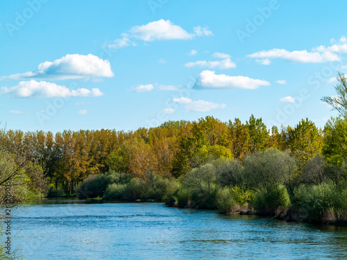 Landscape of a river with calm water in spring