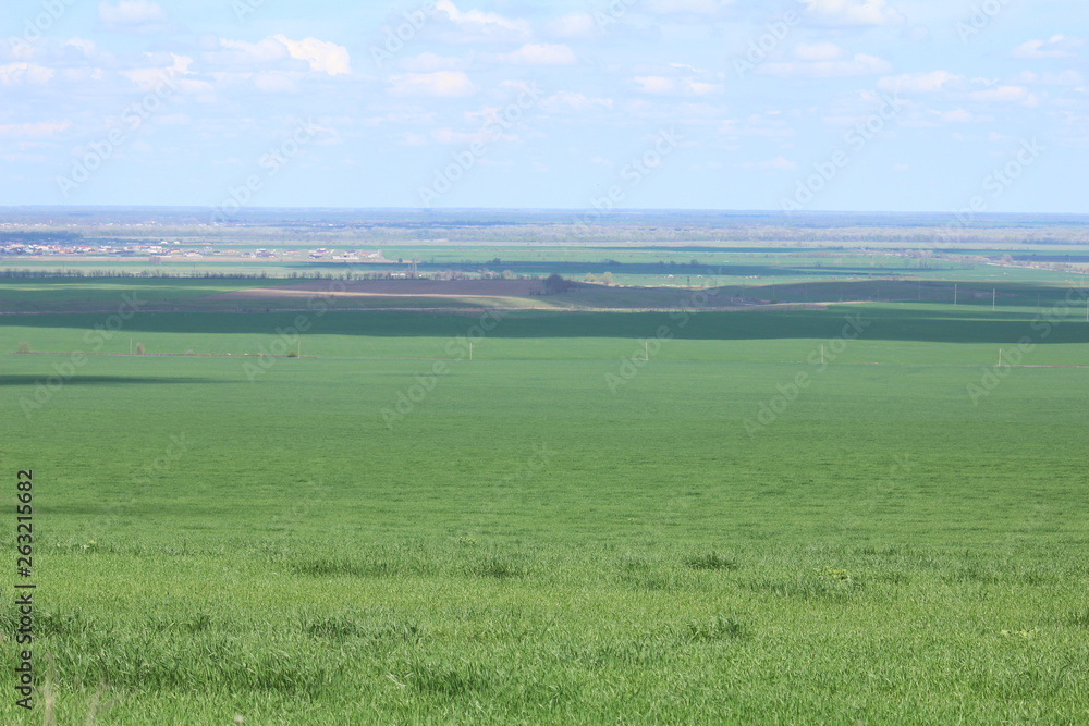 Fototapeta premium Green meadows and pasture.