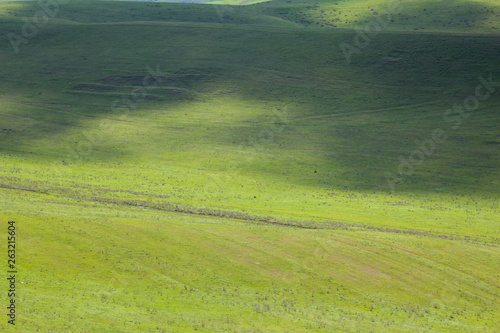 Green meadows and pasture.