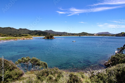 medlands beach great barrier island photo