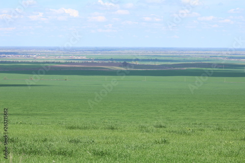 Green meadows and pasture.