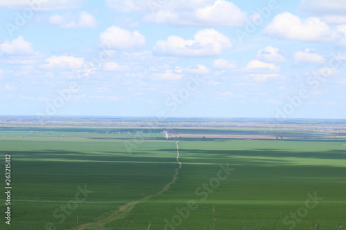 Green meadows and pasture.