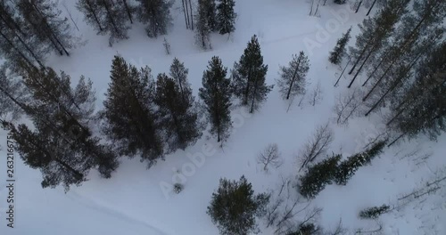 Aerial, reverse, drone shot, over spruce forest, buildings and Ounastunturit fjells, in Pallas-yllastunturi national park, at the arctic circle, on a sunny, winter evening, in Muonio, Lapland, Finland photo