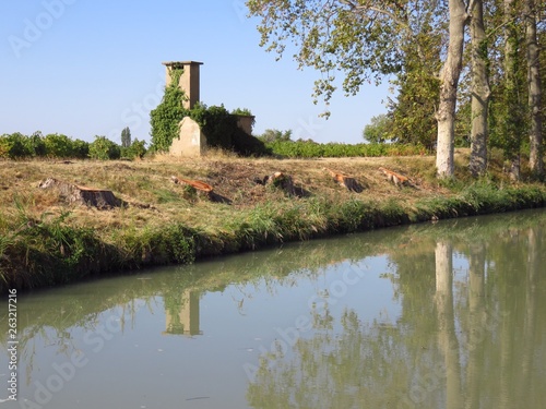 Abattage d'arbres sur les berges du Canal du Midi (France) photo