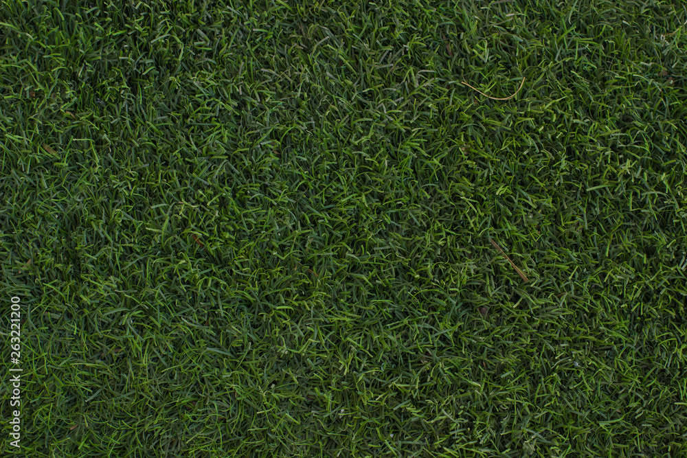 green grass natural texture surface background green grass natural texture surface background