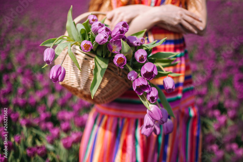 Beautiful young woman with long red hair wearing a striped dress holding a basket with bouquet of purple tulips flowers on background on purple tulip fields. Sping concept