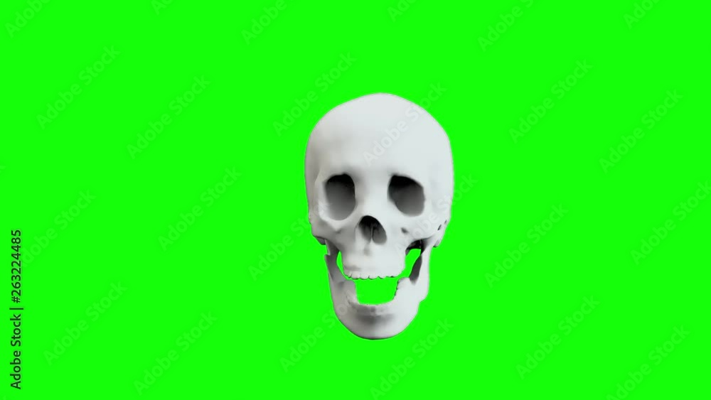 3d animation skull 3d animation skull
