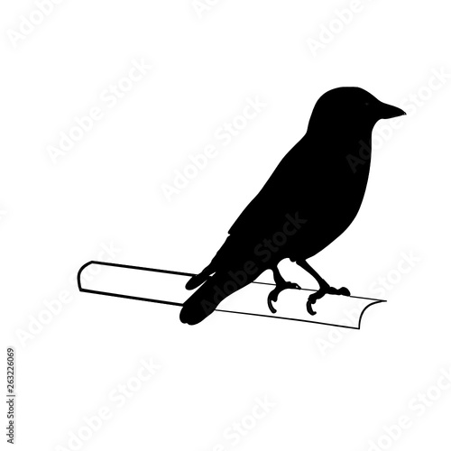 Bird sitting on a branch, vector background