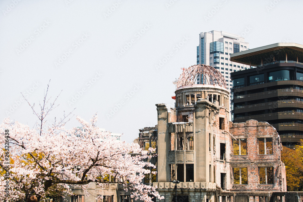 Fototapeta premium Atomic Bomb Dome in Hiroshima, Japan while Cherry blossom season