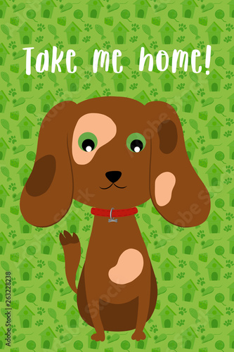 vector template with a picture of a dog and the inscription " take me home!". Concept for a shelter or veterinary clinic, pet store