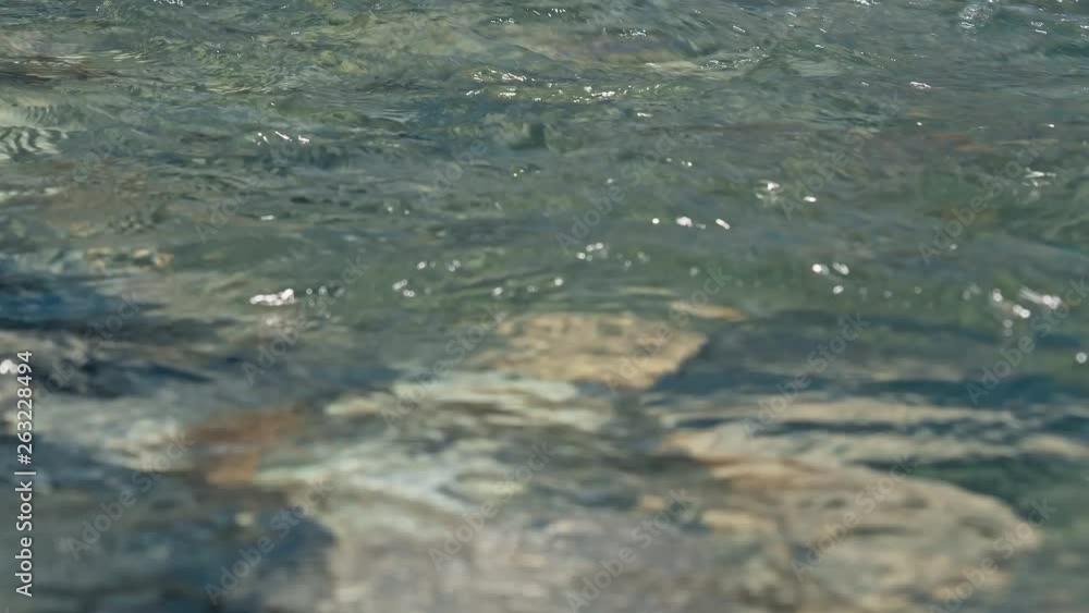 Clear water of River close up in Nagano, Japan. Clear water of River close up in Nagano, Japan.