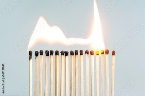 row of wooden matches, the fire swiftly moves from match to match photo