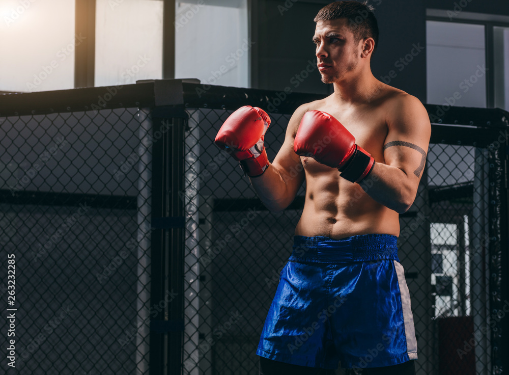 Kickboxer with bare muscular body stands in the middle of ring made of ...