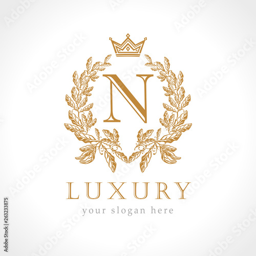 Letter N logotype concept. Isolated abstract emblem, graphic design template. Art nomination award elegant banner, decorative old tradition style sign, round shape business symbol. Vector illustration