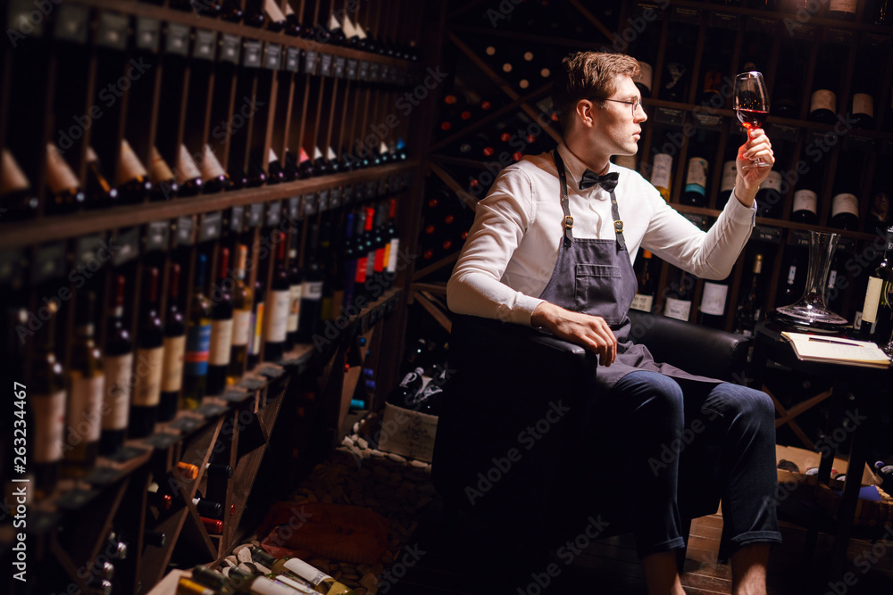 Wine critic appreciating color tint, quality and sediments of drink in liquor store. Wine critic appreciating color tint, quality and sediments of drink in liquor store.
