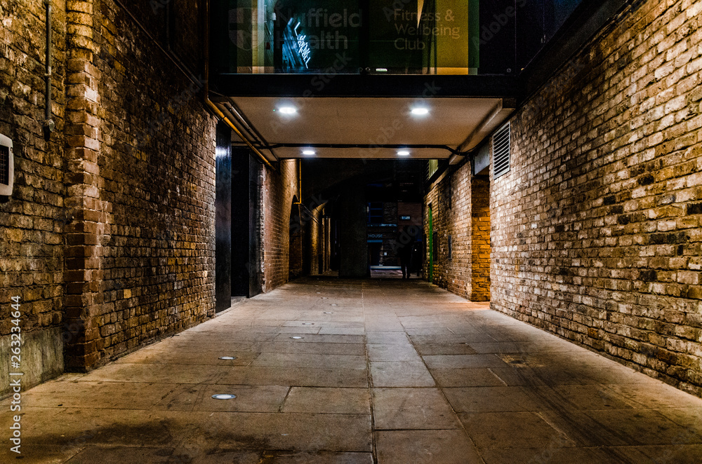 Fototapeta premium Dark tunnel