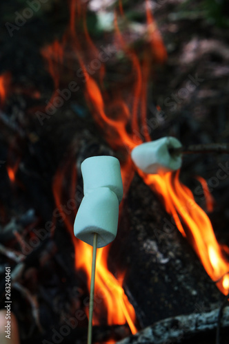 marshmallows on the fire